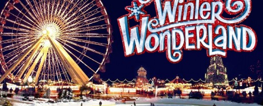 20151127_winter-wonderland